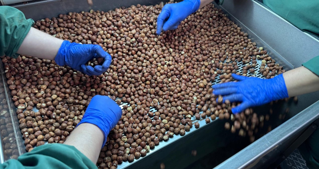 124 ulke findik icin turkiyeye para yagdirdi tvkT1ZDN