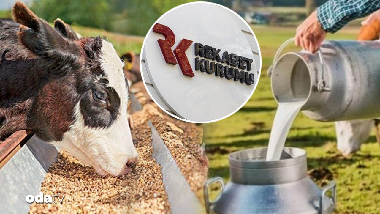 39 sut sanayicisine sut karsiligi yem sorusturmasi xVVbJsn9