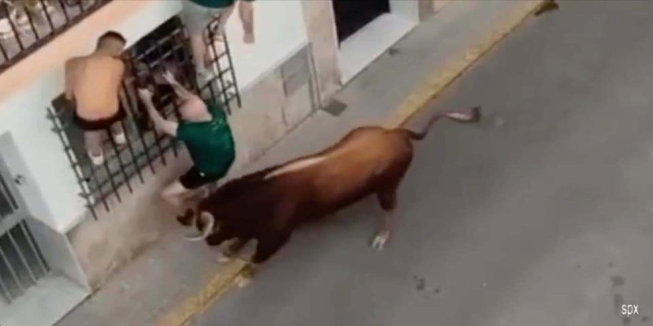 boga festivaline katilan kisi boynuzlanarak can verdi DvvkupCc