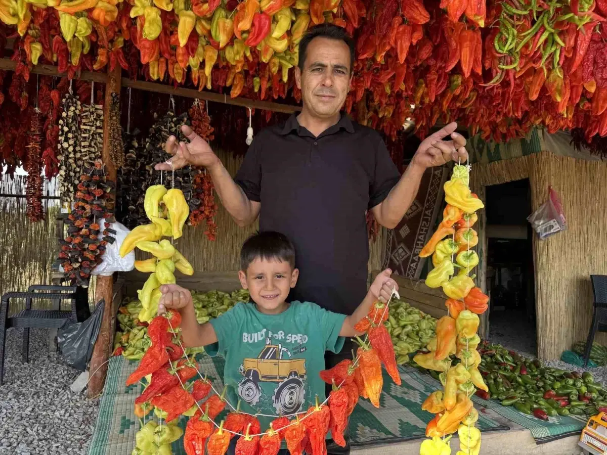 kale biberi dunyaya tanitiliyor xCqsMOm3