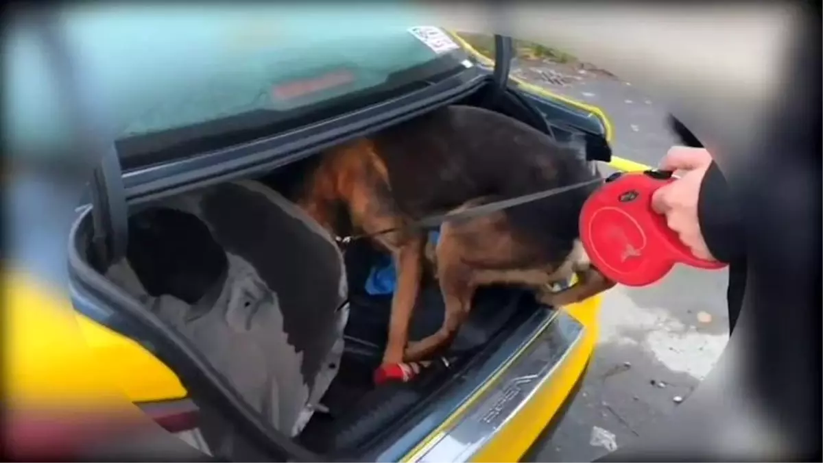 istanbuldan sakaryaya uyusturucu sevkiyati supheli yakalandi h6mO94dn.jpg