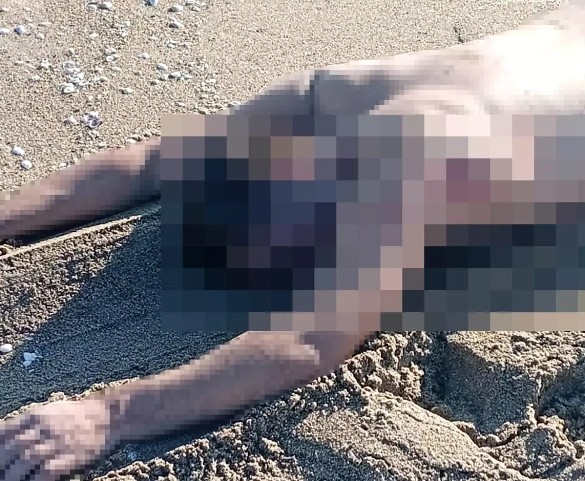 sakaryada ciplak erkek cesedi bulundu pgBJq4jL