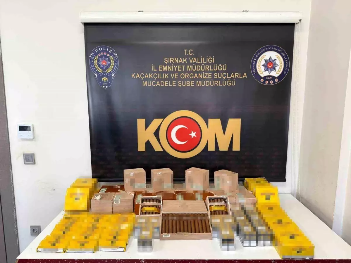 sirnakta narkotik ve kacakcilik operasyonlari 6wtApkDw.jpg