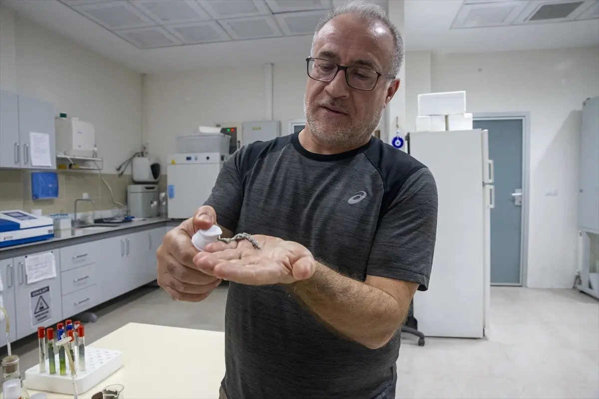 turk akademisyenler murekkep baligindan cilt onarici ve koruyucu gunes kremi uretti UWjMBuUs.jpg