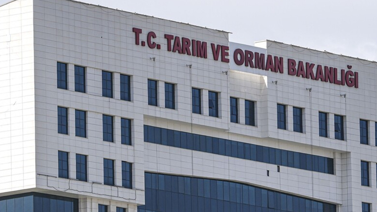 Okul Müdürü Tarafından Şiddet Gören Kadının Gizemli Ölümü: Evinde Hareketsiz Bulundu